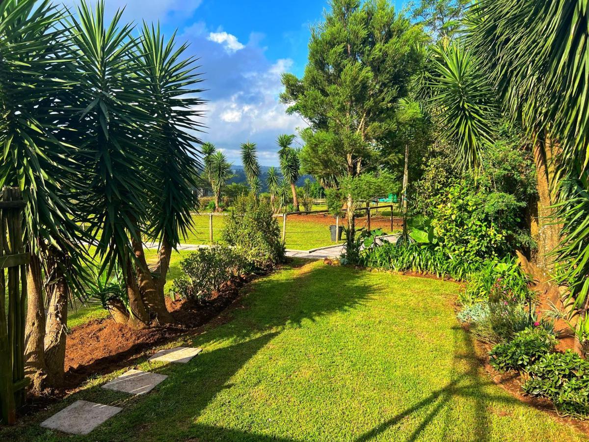 Fever Tree Guesthouse Hillcrest Εξωτερικό φωτογραφία