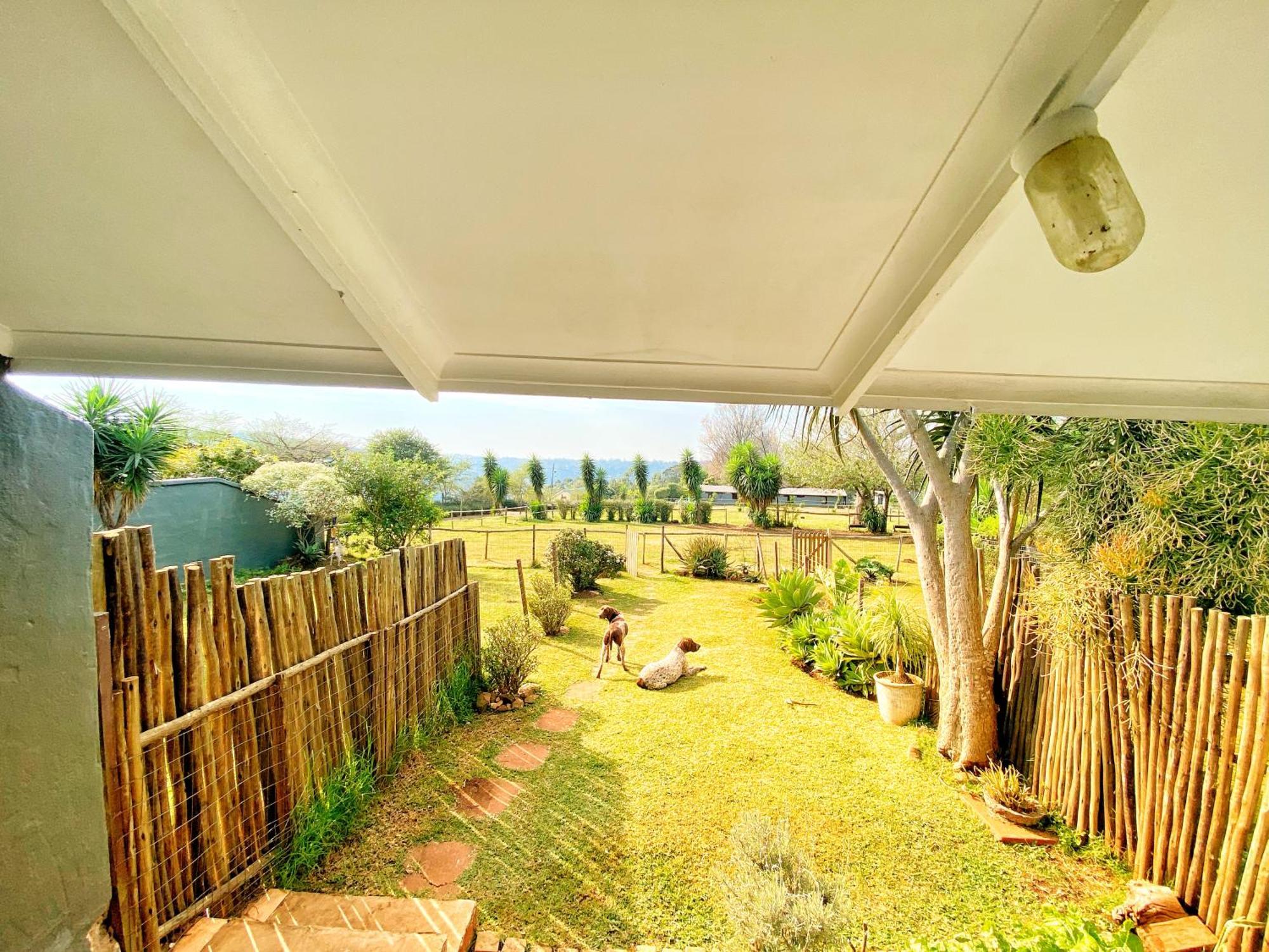 Fever Tree Guesthouse Hillcrest Εξωτερικό φωτογραφία
